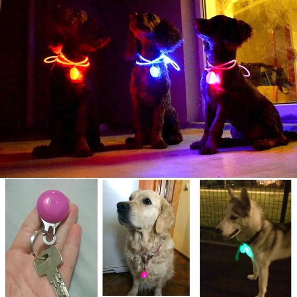 Led Light for Pets NWT - Green - Picture 13 of 13